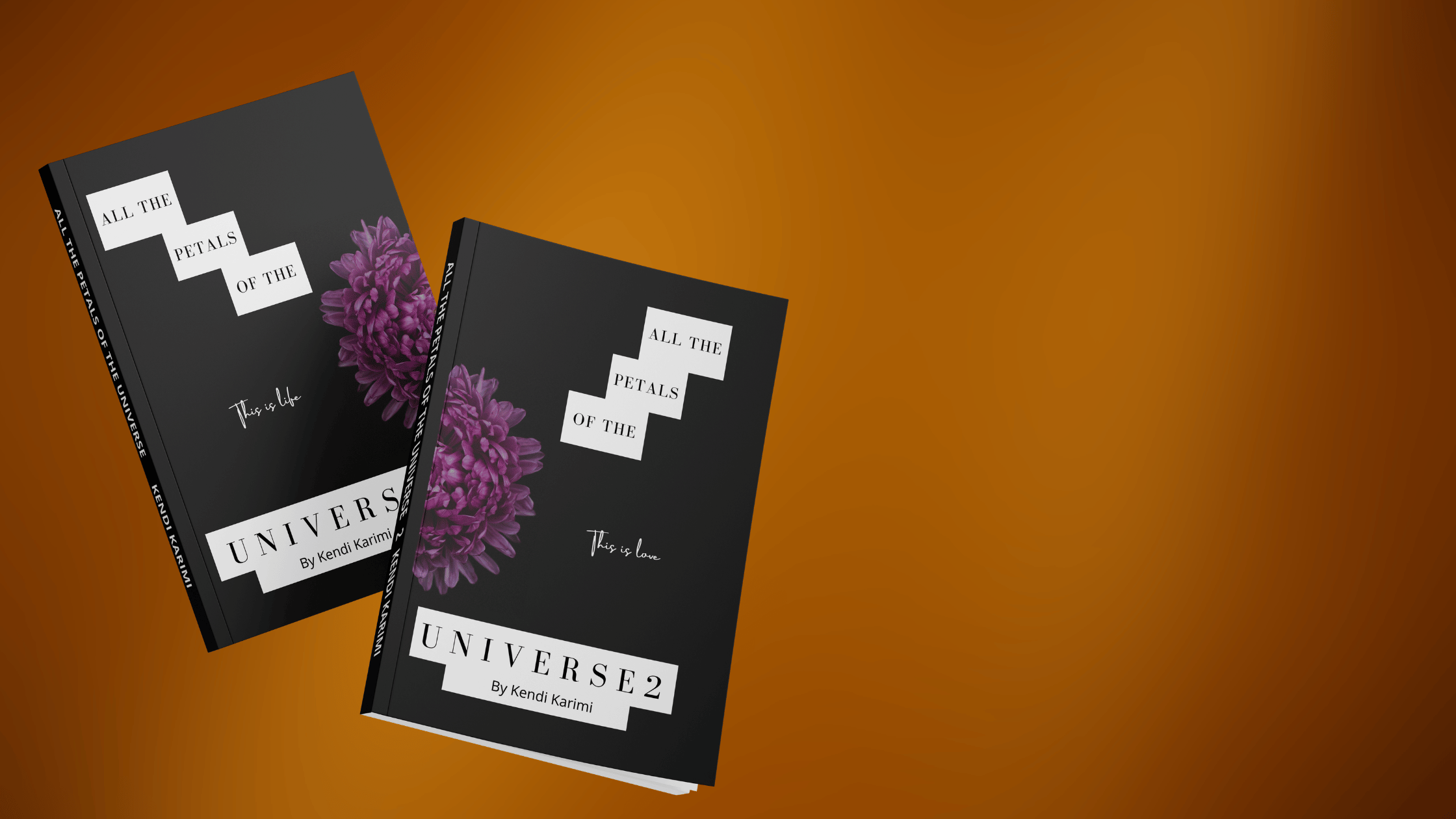 Limted Edition Boxed Set: All Of The Petals Of The Universe - Image 3